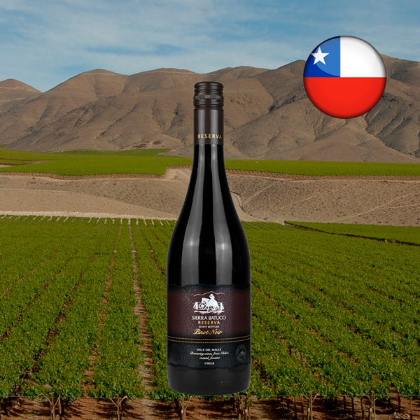 Sierra Batuco Reserva Pinot Noir 2021 - Oferta