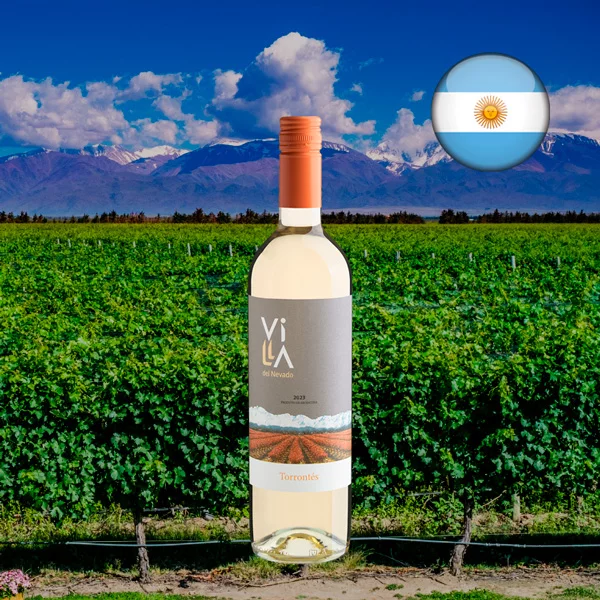 Villa del Nevado Torrontés 2023 - Oferta