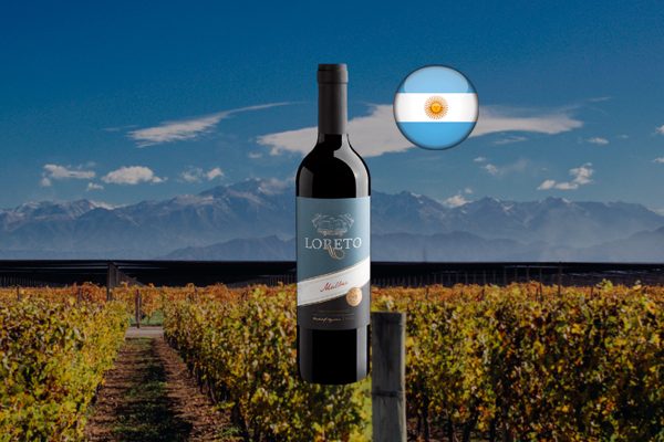 Virrey Loreto Malbec 2022 - Thumbnail