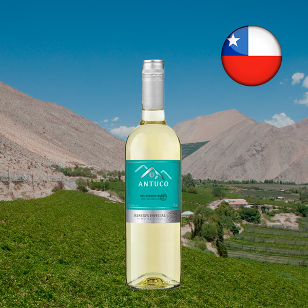 Antuco Reserva Especial Sauvignon Blanc 2021 - Oferta