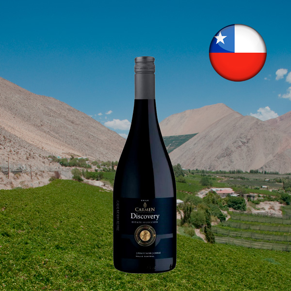 Carmen Discovery Estate Pinot Noir 2020 - Oferta