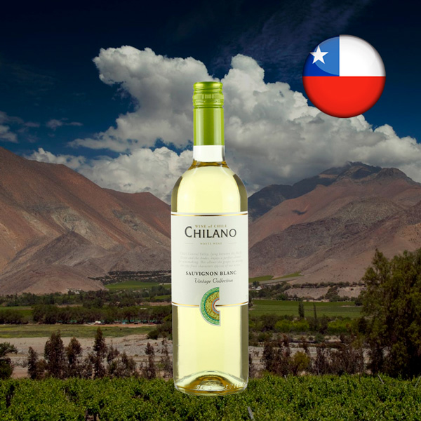 Chilano Sauvignon Blanc - Oferta