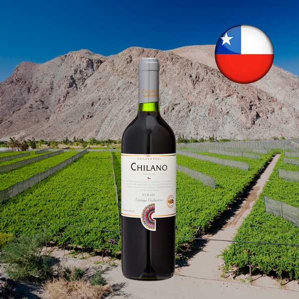 Chilano Syrah Vintage Collection - Oferta