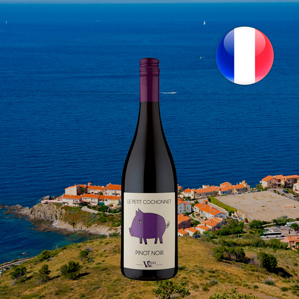 Le Petit Cochonnet IGP Pays dOc Pinot Noir - Oferta