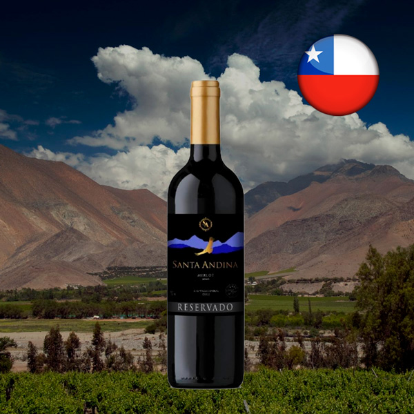 Santa Andina Reservado Merlot - Oferta