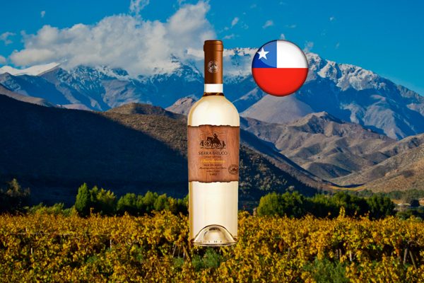 Sierra Batuco Chardonnay 2021 - Thumbnail