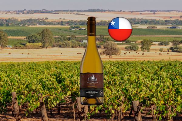 Sierra Batuco Reserva Chardonnay 2022 - Thumbnail