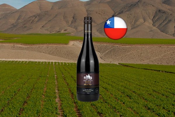 Sierra Batuco Reserva Pinot Noir 2021 - Thumbnail