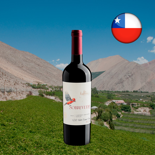 Sobrevuelo Cabernet Sauvignon-Merlot Valle Central DO 2022 - Oferta