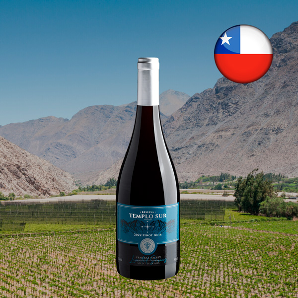 Templo Sur Limited Series Reserva Pinot Noir 2022 - Oferta