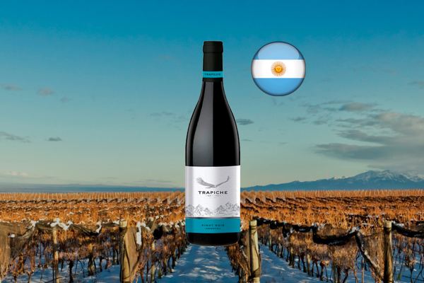 Trapiche Vineyards Pinot Noir - Thumbnail