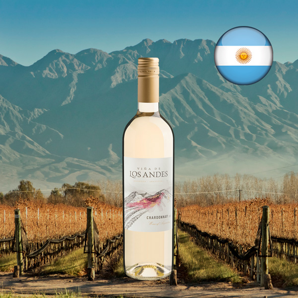 Viña de Los Andes Chardonnay 2023 - Oferta