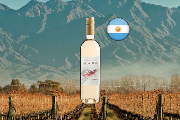 Viña de Los Andes Chardonnay 2023 - Thumbnail