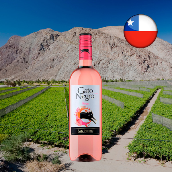 Vinho Gato Negro Rosé - Oferta