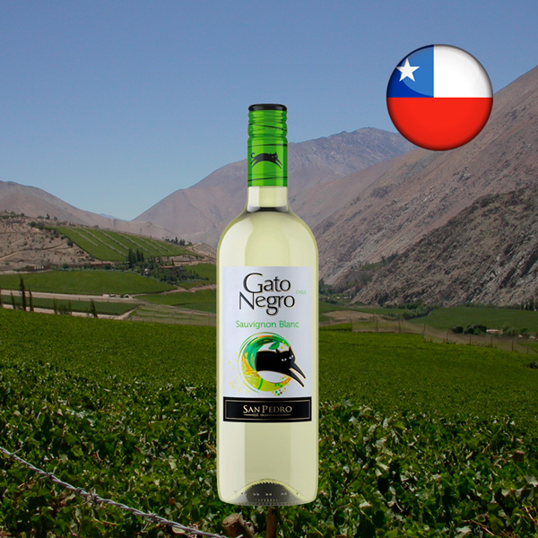 Vinho Gato Negro Sauvignon Blanc - Oferta