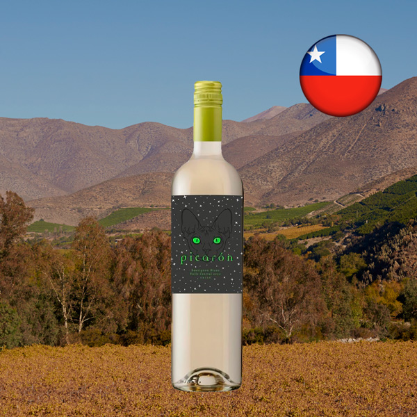 Vinho Picarón Sauvignon Blanc - Oferta