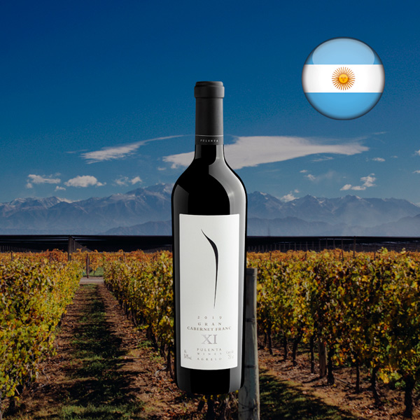 XI Pulenta Gran Cabernet Franc 2019 - Oferta