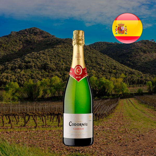 Espumante Cava Codorníu Clasico Brut - Oferta