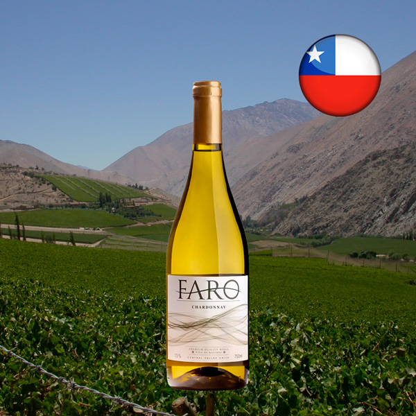 Faro Reserva Chardonnay 2022 - Oferta