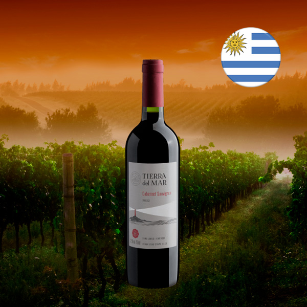 La Mirada Cabernet Sauvignon 2022 - Oferta