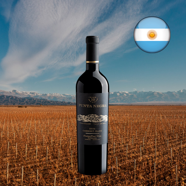 Punta Negra Block 10 Cabernet Franc 2022 - Oferta