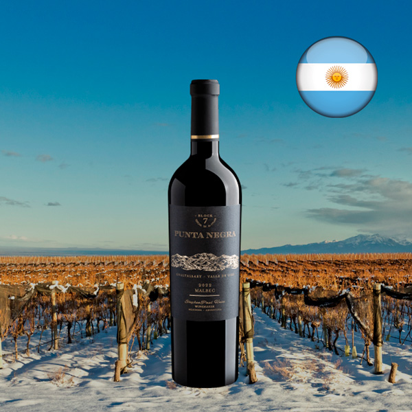 Punta Negra Block 7 Malbec 2022 - Oferta