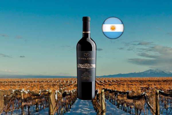 Punta Negra Block 7 Malbec 2022 - Thumbnail