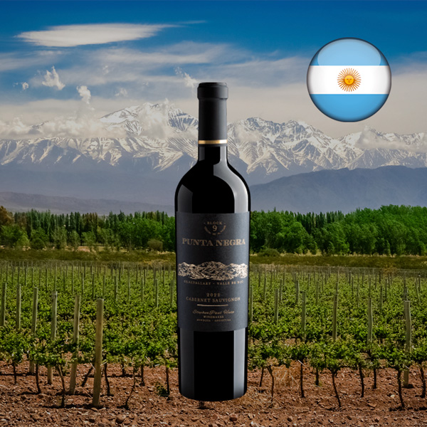 Punta Negra Block 9 Cabernet Sauvignon 2022 - Oferta