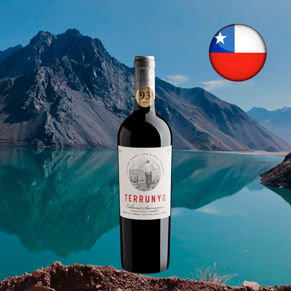 Terrunyo Cabernet Sauvignon Pirque DO 2017 - Oferta