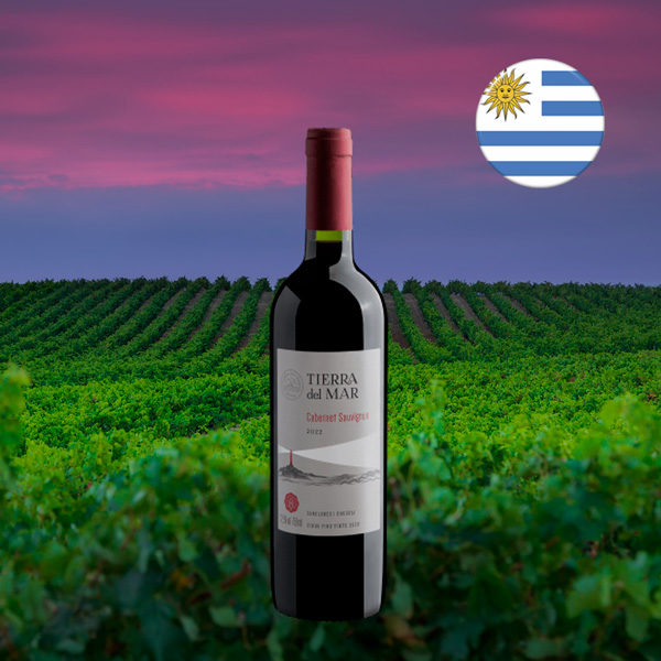 Tierra del Mar Cabernet Sauvignon 2022 - Oferta