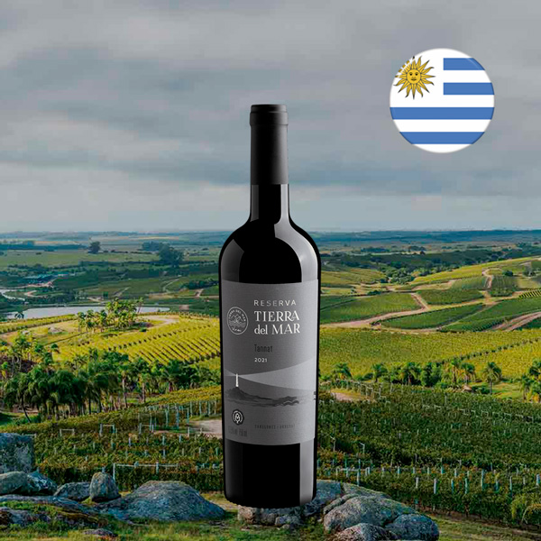 Tierra del Mar Reserva Tannat 2021 - Oferta