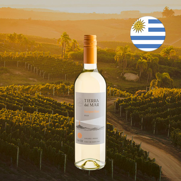 Tierra del Mar Sauvignon Blanc 2023 - Oferta