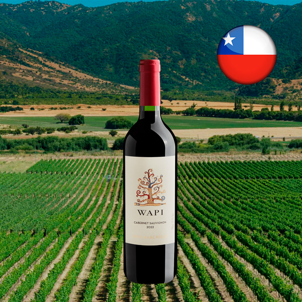 Wapi Cabernet Sauvignon Valle de Colchagua DO 2022 - Oferta