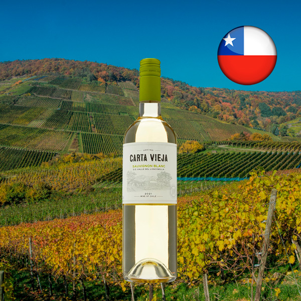 Carta Vieja Sauvignon Blanc - Oferta