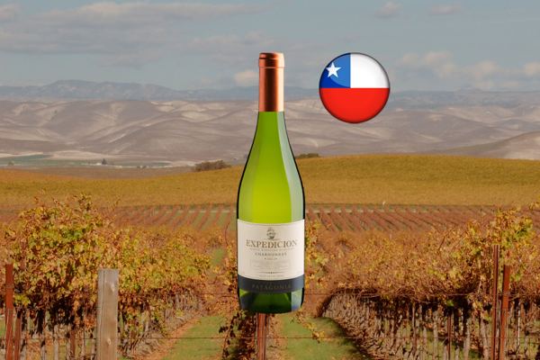 Expedicion Single Vineyard Selection Chardonnay Central Valley DO 2023 - Thumbnail