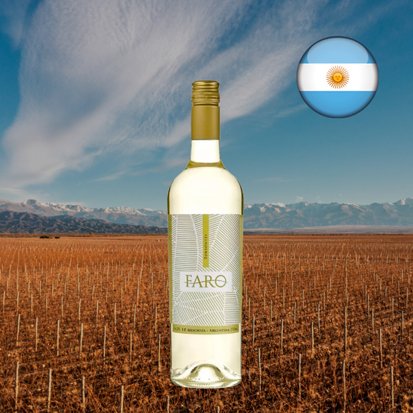 Faro Torrontés 2021 - Oferta