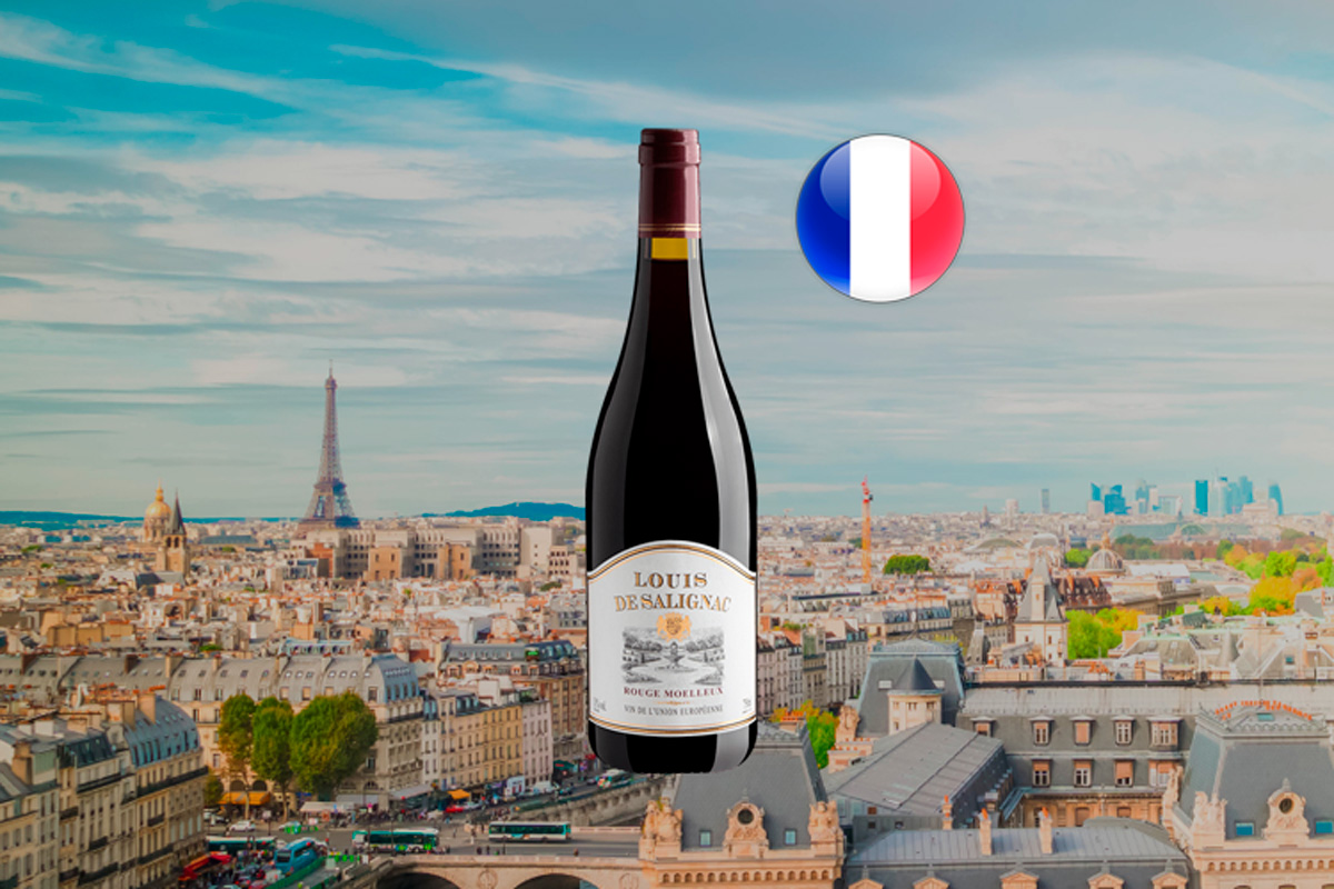 Louis de Salignac Rouge Moelleux - Vinho tinto francês | Center Gourmet ...