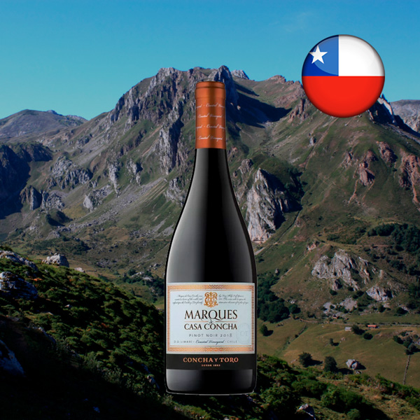 Marques De Casa Concha Pinot Noir 2018 - Oferta