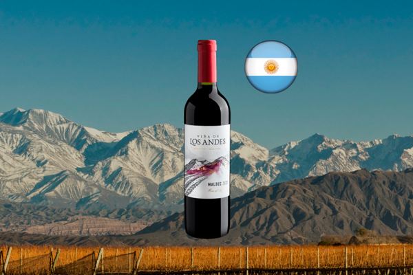 Viña de Los Andes Malbec 2023 - Thumbnail