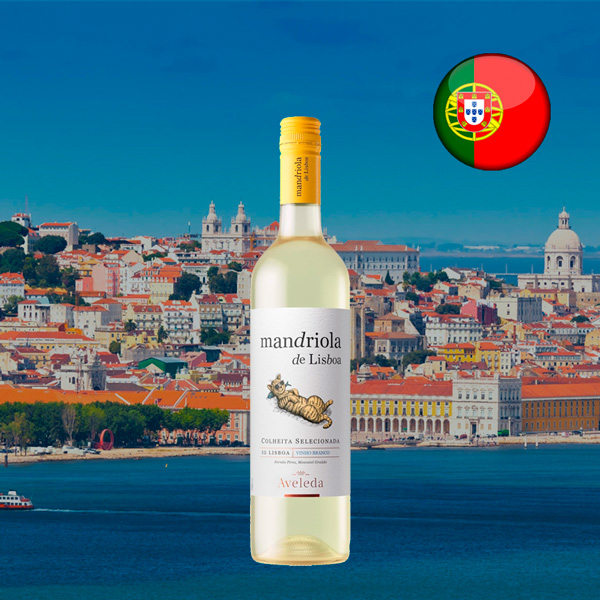 Vinho Branco Mandriola de Lisboa - Oferta