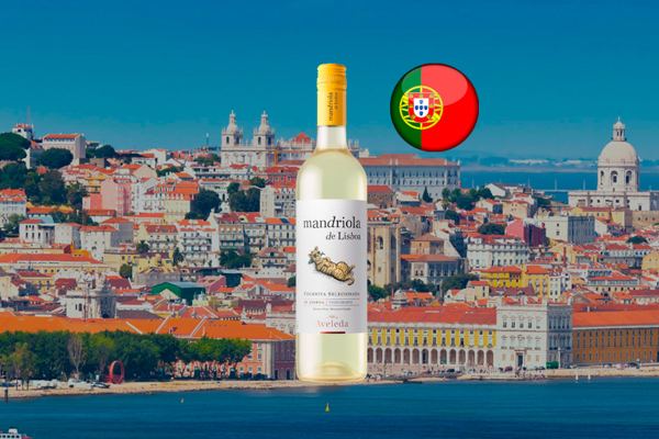 Vinho Branco Mandriola de Lisboa - Thumbnail