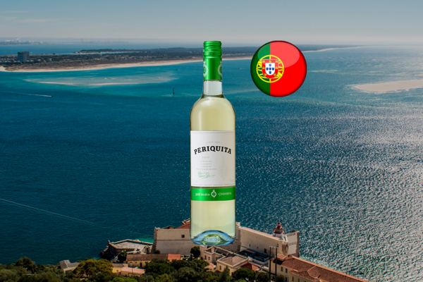 Vinho Periquita Branco - Thumbnail