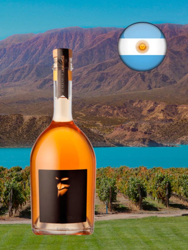 Vinho branco argentino Alma Negra Orange 2022