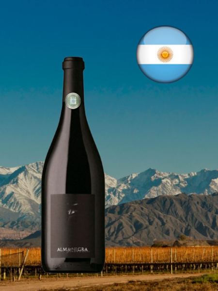 Alma Negra Pinot Noir 2021 - Oferta