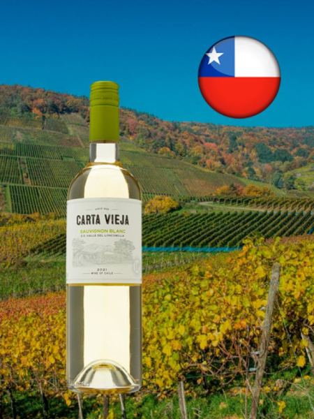 Carta Vieja Sauvignon Blanc - Oferta