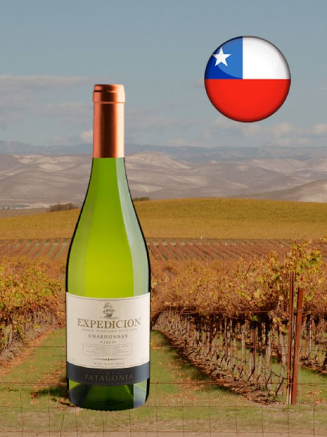 Vinho branco chileno Expedicion Single Vineyard Selection Chardonnay Central Valley DO 2023