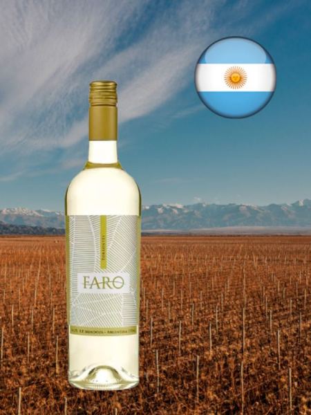 Faro Torrontés 2021 - Oferta