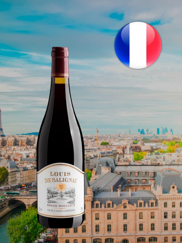 Vinho tinto francês Louis de Salignac Rouge Moelleux