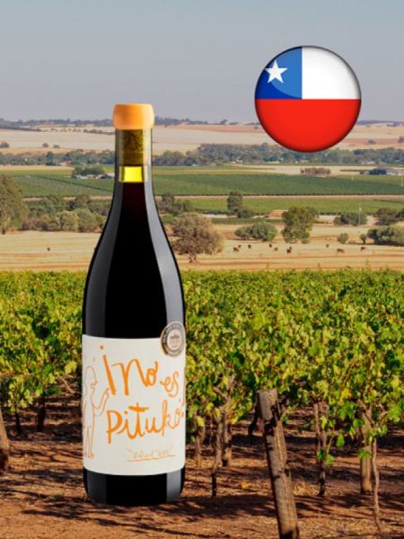 No es Pituko Cabernet Franc 2022 - Oferta