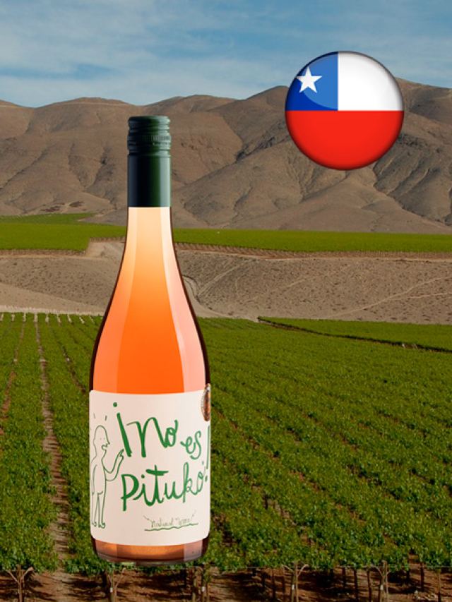 Vinho rosé chileno No es Pituko País Rosé 2023